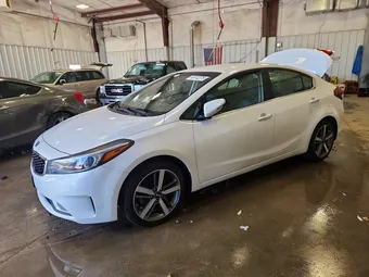 2017 Kia Forte 3KPFL4A81HE004123 Lot 49742276