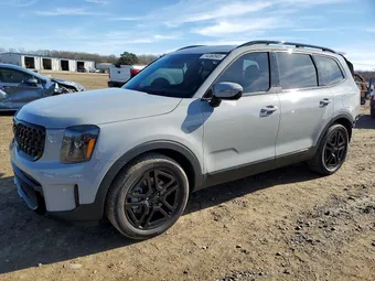 2025 Kia Telluride 5XYP3DGC3SG616141 Lot 74380905
