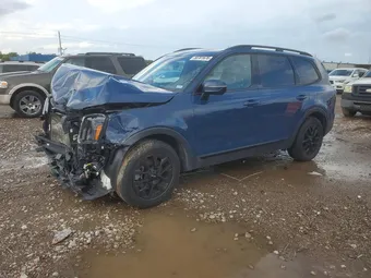 2024 Kia Telluride 5XYP5DGC6RG446670 Lot 50701676