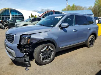 2025 Kia Telluride 5XYP6DGC8SG686788 Lot 51334296