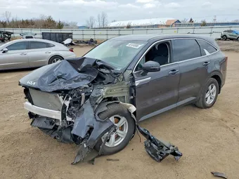2025 Kia Sorento 5XYRG4JC8SG348614 Lot 48104996