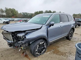 2025 Kia Telluride 5XYP6DGC9SG663598 Lot 47315156