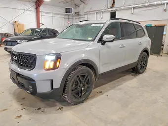 2024 Kia Telluride 5XYP5DGC5RG448524 Lot 48669936