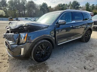 2021 Kia Telluride 5XYP5DHC9MG172677 Lot 50894356