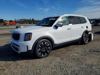 2024 Kia Telluride 5XYP5DGC7RG477930 Lot 73730085