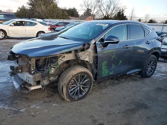 2024 Lexus NX 350 2T2GGCEZ8RC045043 Lot 73675785