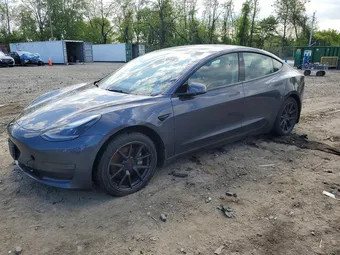 2023 Tesla Model 3 5YJ3E1EA9PF616572 Lot 50919676