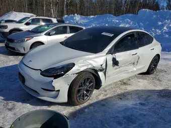 2021 Tesla Model 3 5YJ3E1EB5MF855783 Lot 79161555