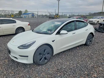 2023 Tesla Model 3 5YJ3E1EA8PF493508 Lot 49708176