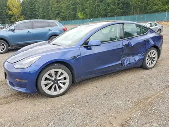 2022 Tesla Model 3 5YJ3E1EA7NF371610 Lot 51374256