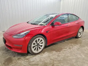 2023 Tesla Model 3 5YJ3E1EAXPF437831 Lot 51817976