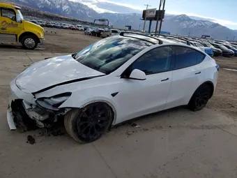 2023 Tesla Model Y 7SAYGAEE3PF871272 Lot 41969236