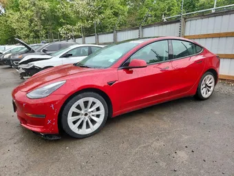 2023 Tesla Model 3 5YJ3E1EA2PF449228 Lot 51445906