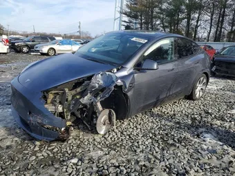 2023 Tesla Model Y 7SAYGDEE2PA149175 Lot 74056975