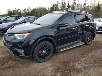 2017 Toyota RAV4 2T3DFREV5HW679229 Lot 51135586