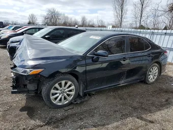 2019 Toyota Camry 4T1B11HK1KU226735 Lot 46370416
