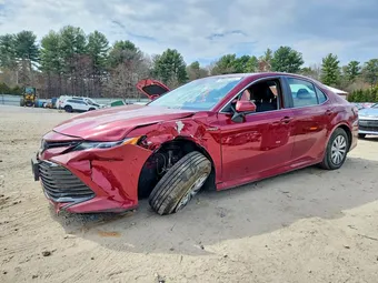 2020 Toyota Camry 4T1C31AK4LU536694 Lot 49462726