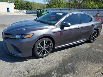2019 Toyota Camry 4T1B11HK3KU759007 Lot 52532246