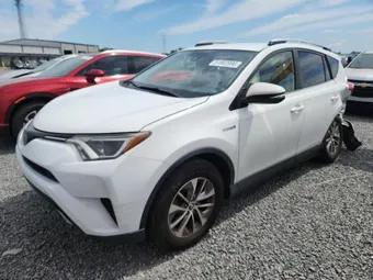 2018 Toyota RAV4 JTMRJREV7JD196168 Lot 51902996