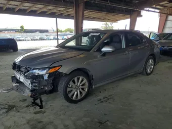 2019 Toyota Camry 4T1B11HK4KU247918 Lot 49507666