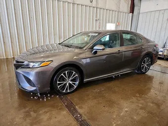 2019 Toyota Camry 4T1B11HK3KU800767 Lot 50818766