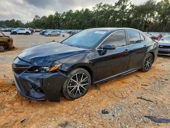 2024 Toyota Camry 4T1G11AK9RU257080 Lot 77556155