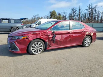 2022 Toyota Camry 4T1C11BK4NU061135 Lot 49265486