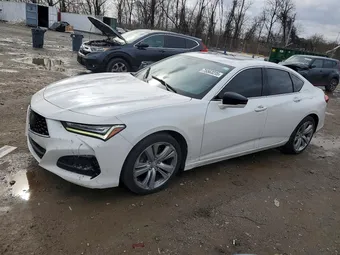 2021 Acura TLX 19UUB6F41MA010000