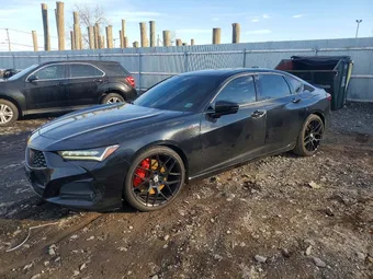 2021 Acura TLX 19UUB5F57MA004270