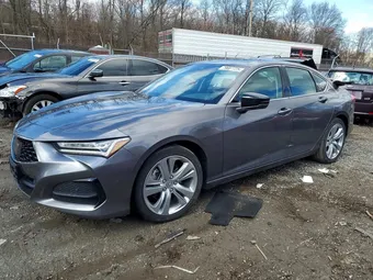 2021 Acura TLX 19UUB5F48MA005855