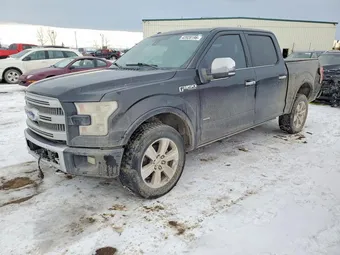 2016 Ford F-150 1FTEW1EG3GFC49402 Lot 42020196