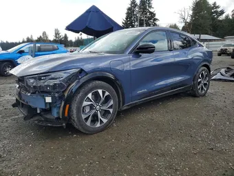 2021 Ford Mustang Mach-E 3FMTK3SU8MMA38910 Lot 48865886