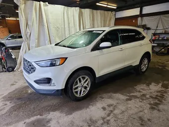 2022 Ford Edge 2FMPK4J9XNBB14800 Lot 52319096