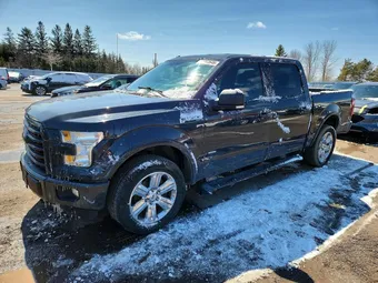 2016 Ford F-150 1FTEW1EPXGFA25060 Lot 47953646