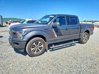 2018 Ford F-150 1FTEW1E53JFC66738 Lot 49784496
