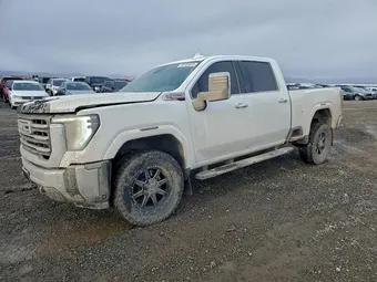 2025 GMC Sierra 2500HD 1GT4UNEYXSF119630 Lot 96188685