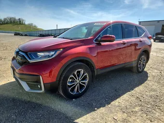 2020 Honda CR-V 5J6RW2H50LL001485 Lot 51470966