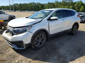 2021 Honda CR-V 5J6RW1H87MA008600 Lot 48670106