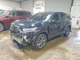 2020 Honda CR-V 5J6RW2H81LL032416 Lot 48520756
