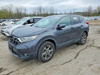 2019 Honda CR-V 5J6RW2H58KL025032 Lot 50974466
