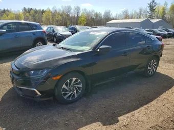 2019 Honda Civic 2HGFC2F74KH020172 Lot 49916246