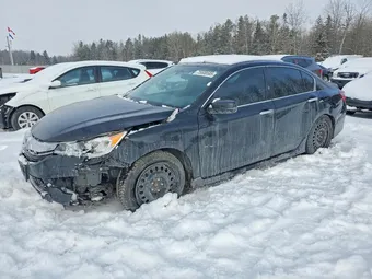 2017 Honda Accord 1HGCR2F53HA811493 Lot 75508585