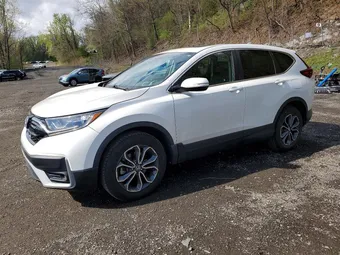 2020 Honda CR-V 5J6RW2H89LL026542 Lot 48813606