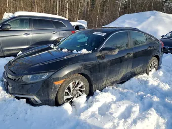 2020 Honda Civic 2HGFC2F72LH020592 Lot 74466465