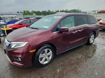 2019 Honda Odyssey 5FNRL6H79KB130883 Lot 50560896