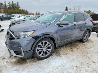 2020 Honda CR-V 2HKRW2H48LH215755 Lot 75681885