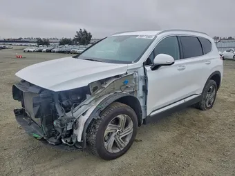 2021 Hyundai Santa Fe 5NMS6DAJ1MH319273 Lot 96911055
