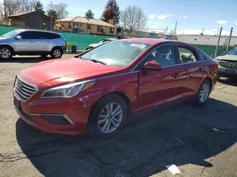 2016 Hyundai Sonata 5NPE24AF9GH294070 Lot 79465645