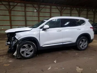 2023 Hyundai Santa Fe 5NMS3DAJ0PH543230 Lot 49608256