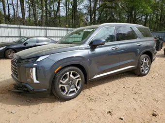2025 Hyundai Palisade KM8R44GE4SU908592 Lot 48350196